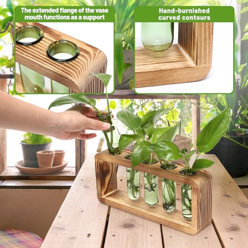 Glass Plant Propagation Station with 5 Test Tubes Colorful Planter Vase by YYHglass - Image 4