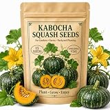 NYGardenia 15 Kabocha Squash Seeds for Planting, Green Japanese Pumpkin