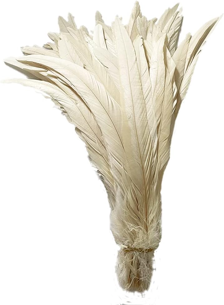 20 PCS 14-16 inch Natural Rooster CoqueTail Feathers for Stage Performance and Costume Decoration, Halloween Carnival (Fuchsia)