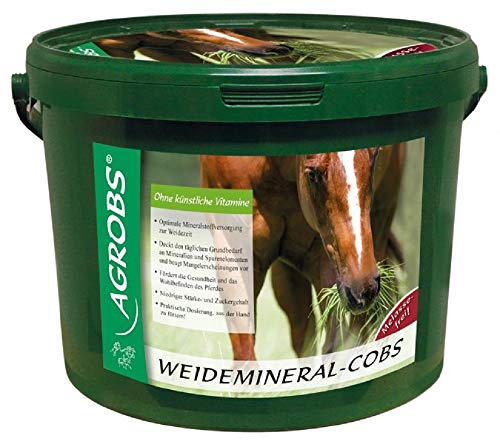 Agrobs Weidemineral-Cobs, 1er Pack (1 x 10000 g)