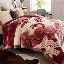 13Lb Heavy Korean Mink Blanket Queen Size 200X230cm,2 Ply - 6Kg Sliky Soft and Warm Raschel Blanket for Autumn,Winter,Bed,F,79x91 inch/13 Lb