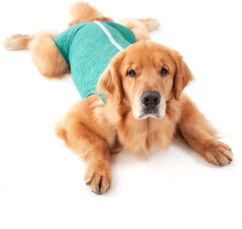 Post-Surgical Regular Bodysuit T10 Green 1UD PETMED