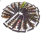 Garantía de presencia de la plantilla en el tiempo en Amazon