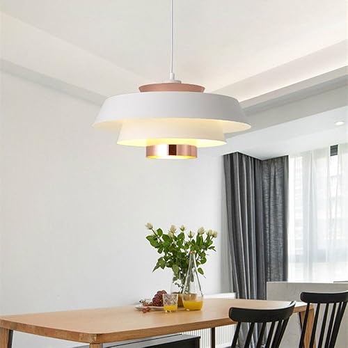 Miniatura 6 de SSBHDM E27 Base Ceiling Lighting Fixtures,Nordic Industrial Style Chandelier,Creative Personality Metal Single-Head Pendant Lamp,Studio Living Room