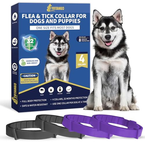 YOTANGO Collares Antiparasitarios para Perros, 32 Meses de Protección, Collar Antipulgas para Perros, 4 Pcs Collar de Pulgas y Garrapatas para Perros de Todos los Tipos-Noir y Violeta