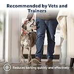 PetSafe Basic Bark Control Collar - Effective & Accurate Bark Detection Collar - Safe & Reliable Training with Multiple Static Stimulation Levels - Waterproof & Battery-Operated