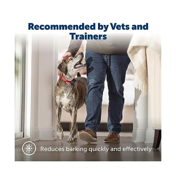 PetSafe Basic Bark Control Collar - Effective & Accurate Bark Detection Collar - Safe & Reliable Training with Multiple Static Stimulation Levels - Waterproof & Battery-Operated