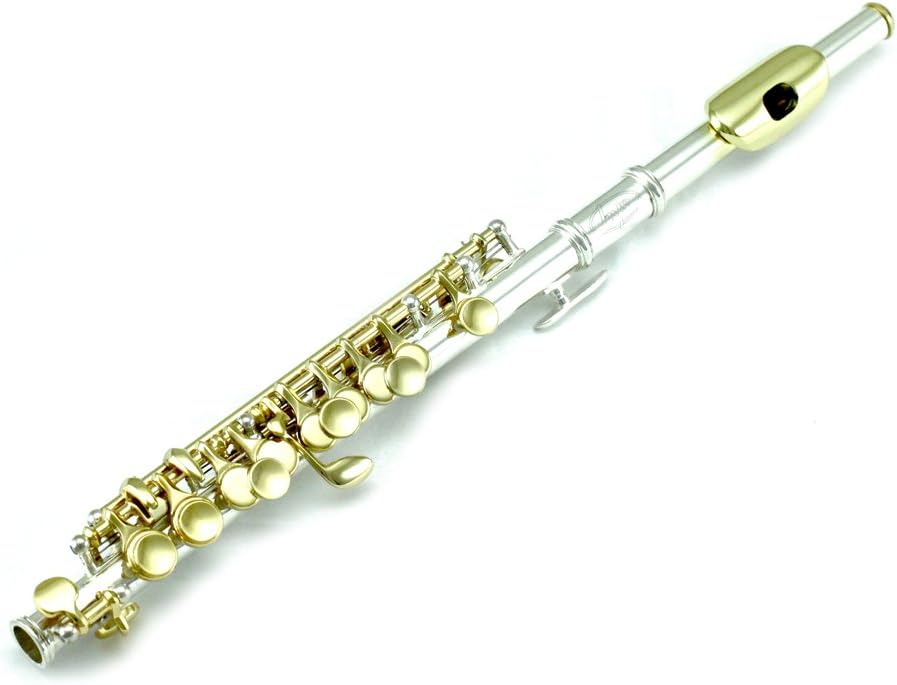 Sky(Paititi) Band Approved Piccolo Key of C with Hard Case, Cloth, Cleaning Rod, Joint Greasae and Screw Driver, Guarantee Top Quality Sound (Silver/Gold) : Musical Instruments