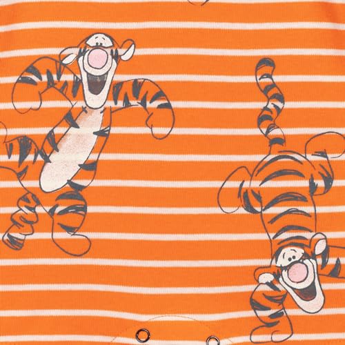 Disney Winnie the Pooh Mickey Mouse Tigger Baby 2 Pack Henley Rompers Newborn to Toddler4