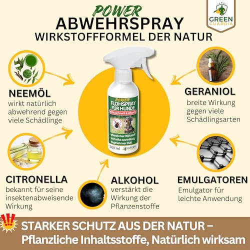 GREEN GUARDIA Flöhe Abwehrspray Power-Konzentrat 500 ml – Pflanzlicher Zecken- & Flohschutz für Hunde – Sprühfertig & sofort wirksam – Ideal für Fell, Liegeplätze & unterwegs – mit ätherischen Ölen