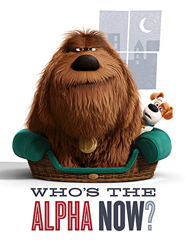 The Secret Life of Pets cadre Alpha 60x80 cm, cadeau idéal pour passionnés