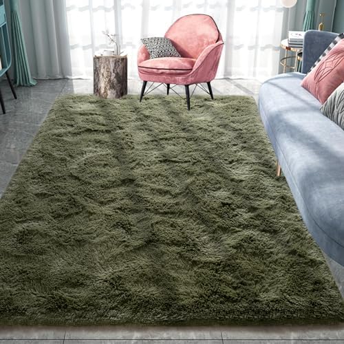 Pacapet Ultra Soft Fluffy Rug for Living Room Bedroom, 4x6