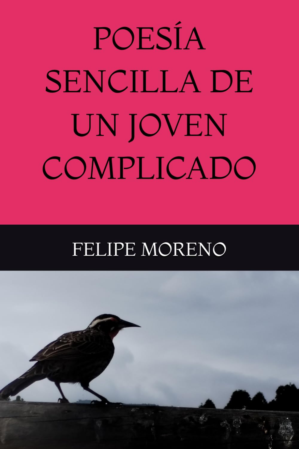 POESÍA SENCILLA DE UN JOVEN COMPLICADO
