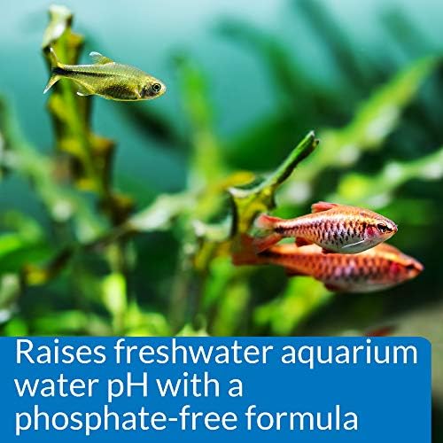 API pH UP Freshwater Aquarium Water pH Raising Solution 118 ml Bottle