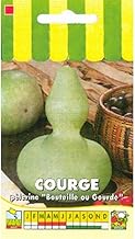 Sachet de graines de Courge décorative Pèlerine (bouteille Pèlerine) - 3 g - légume fruit - LES GRAINES BOCQUET