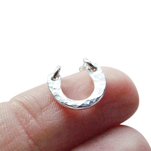 Tiny Horseshoe Necklace,Lucky Necklace 