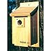 Fancy Feline 15 in. Traditional Bluebird House