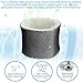 Alocs HWF75 Humidifier Filter D Replacement for Holmes - HM3500 HM3600 HM3650 HM3655 HM3656; Honey-Well HCM6009; Sunbeam SCM3501 SCM3609 SCM3755C humidifier (2 Pack)