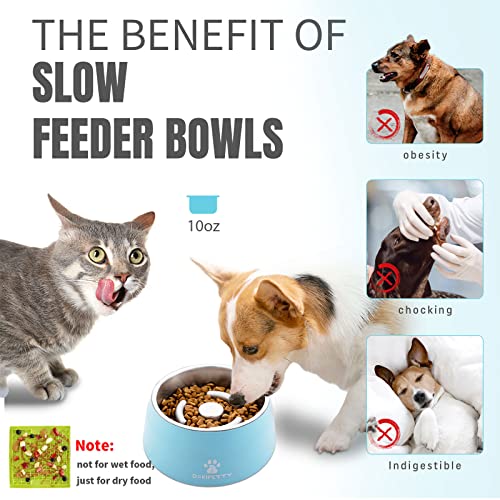 Slow Feeder Dog Bowls Dokipetty 7.5 Degree Slanted Bowl Non Slip Stainless Steel Bowls Detachable Portable Dog Bowl For Dogs And Cats Dog Food Bowls For Travel And Home #TOP5