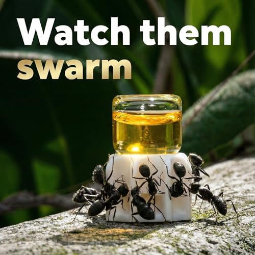 Sunburst Ant Nectar - 120 ml Premium Liquid Food (2017 Improved Version) - 3