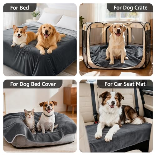 Image of LOOBANI Waterproof Dog Blanket for Couch: Reversible Flannel Bed Blanket for Medium Large Dogs Liquid Proof, Soft Throw Blanket Couch Cover Protector for Sofa, Crate, Travel, Picnic, 50 inch x 60 inch, Grey