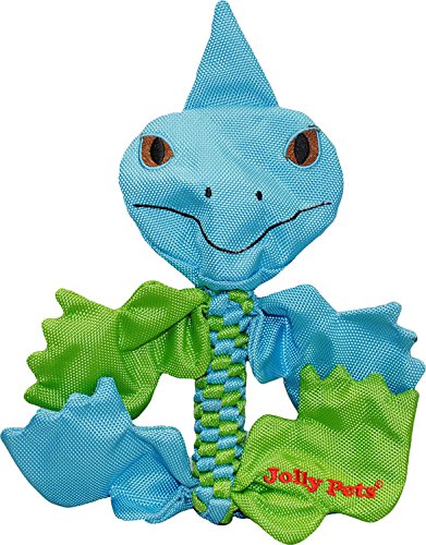 Jolly Pets Animal Flathead Small-Iguana : le jouet robuste anti-stress