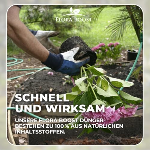 Hortensiendünger Flora Boost 1000ml für alle Hortensienarten