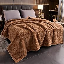 LGYKUMEG Korean Mink Blanket 2 Ply, Heavy Mink Fleece Blanket79 X 91"- 12 Lbs,Warm Winter Blankets,Reversible Super Soft Fuzzy Warm Microfiber Thermal Blanket for Autumn Winter,D,200 * 230cm