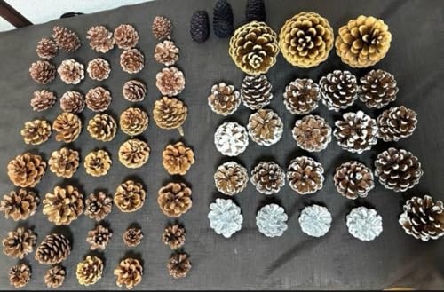 NX}XAWg ԍ ڂ66 fރZbg ԍރVbvōw