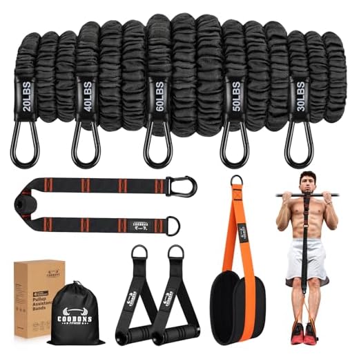 Resistance Bands Set - Workouts Bands for Men and Women, Exercise Bands with Handle, Door Anchor, Legs Ankle Straps, Elastic Bands for Physical Therapy, at Home Fitness, Strength Training Equipment