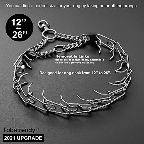 Best Dog Pinch Collars Buying Guide Gistgear