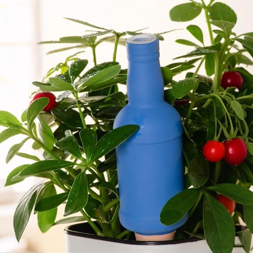 Système d'arrosage goutte à goutte bouteille et diffuseur terre cuite - 3