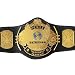 WWE WWF Classic Gold Winged Eagle Championship replica Belt Adult Size Title Belt