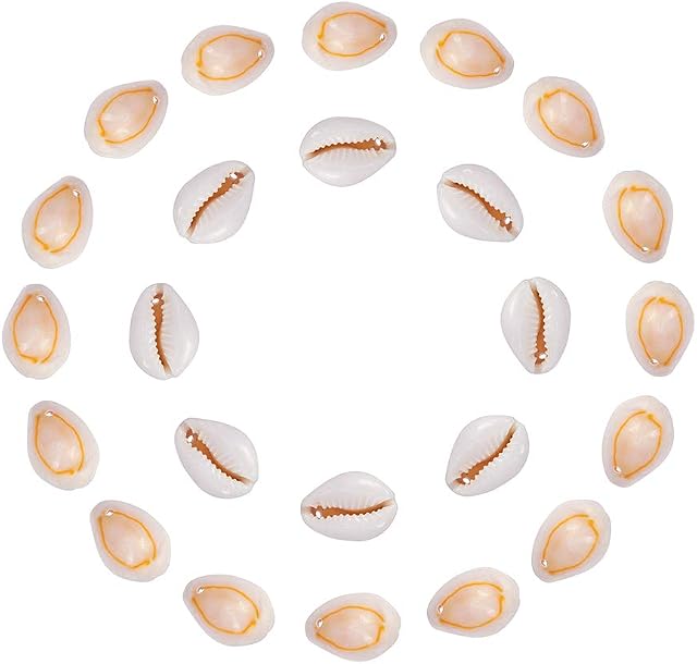 NBEADS 50 Pcs Shell, 16×12mm Cowrie Shell Oval Shell Beads with Hole for Decoration and Jewellery Making