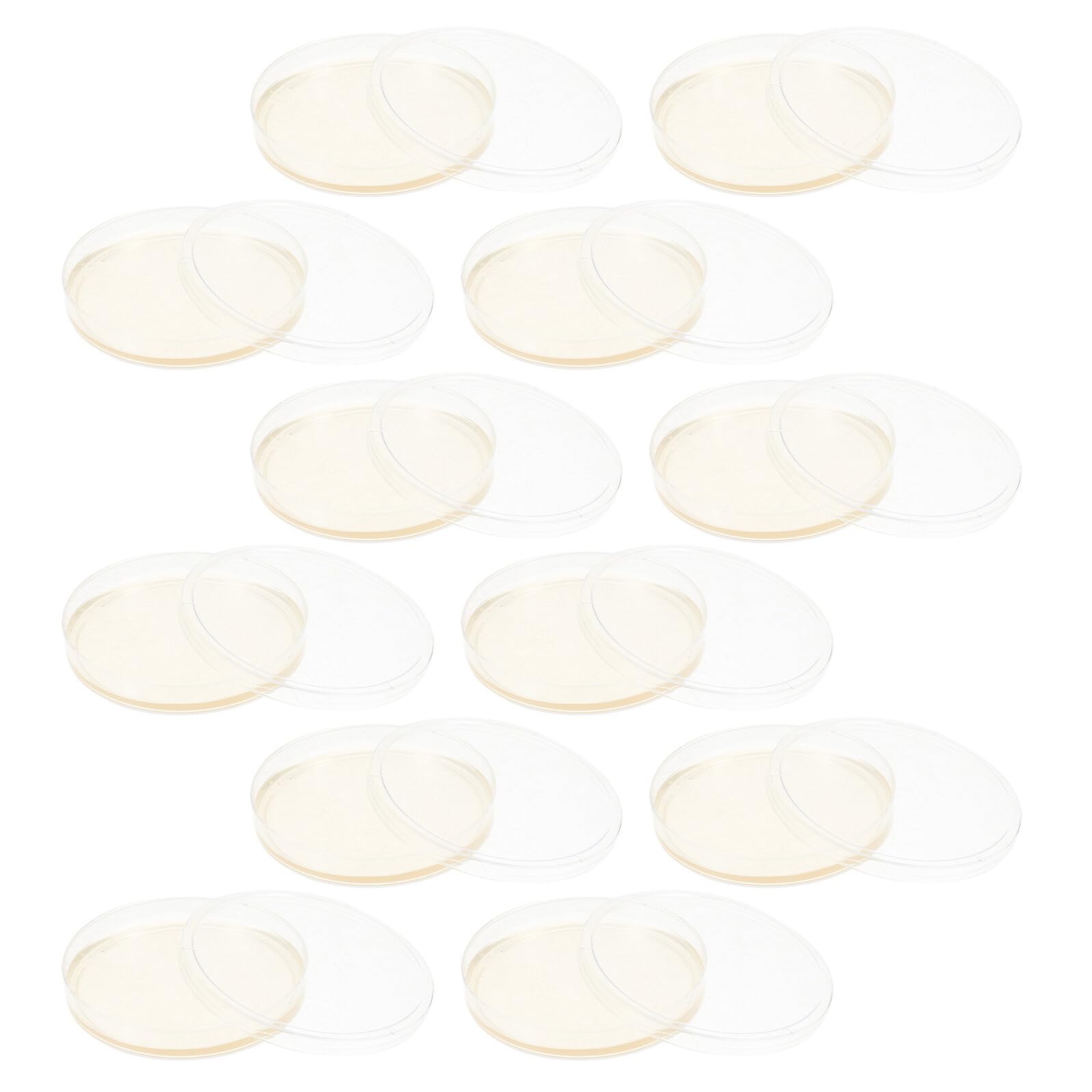 Ipetboom 20 Placas de Agar Petri de Plástico de 9 CM Medio Nutritivo Lb, Estériles para Uso en Investigación Microbiológica y Experimentos Educativos