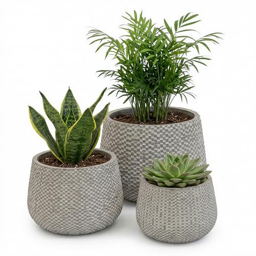 Blumentopf Set 3er Grau – Pflanzkübel für Innen & Außen – Moderner Pflanztopf mit Entwässerungsloch – Robuste, bruchsichere Pflanzgefäße in Steinoptik – Kübel groß mittel klein für Balkon Terrasse
