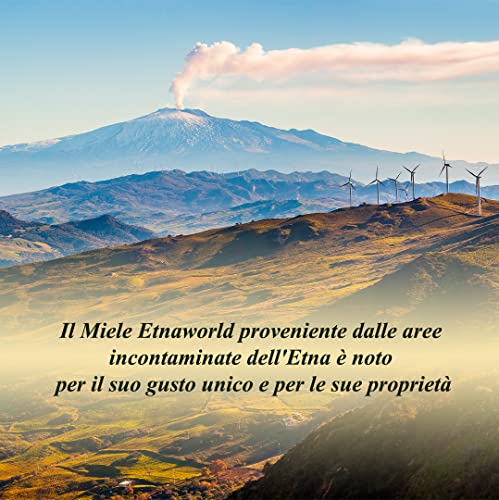 Etnaworld Miele di Castagno dell'Etna 500 gr 100%