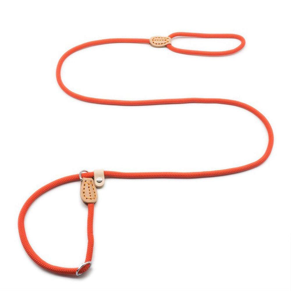 Correa retráctil para perros Correa para perros Collar antideslizante para mascotas Correas para caminar Perro de nylon Cuerda para escalar montañas Tracción para mascotas para perros medianos y gra