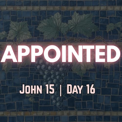 You Did Not Choose Me | John 15:16 | Day 16 of 27 | Daily Christian Meditation