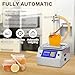 Honey Bottle Filling Machine,10-10000ml Automatic Quantitative Viscous Bottling Equipment Filling Machine, 7L/min Quick Fill Honey Filler for Shampoo Syrup Edible Oil Paste Tomato Sauce