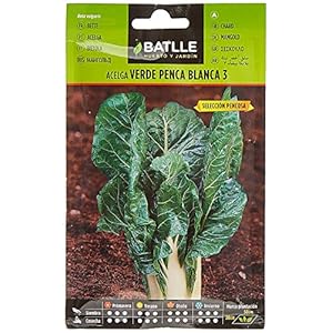 Batlle groentezaden – Mangold groen witte ribben (600 zden)