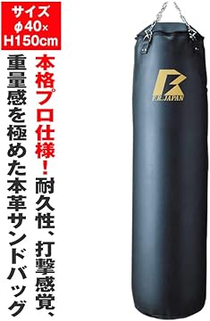 Amazon.co.jp: ファイティングロード: サンドバッグ