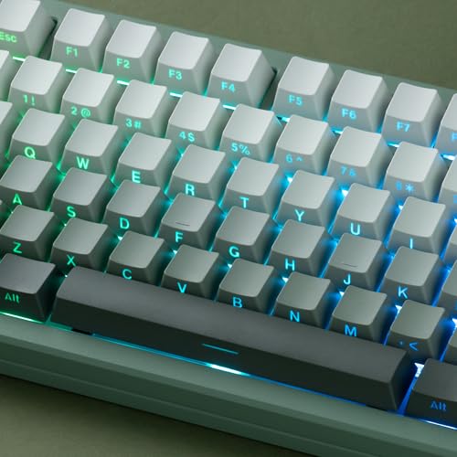Image of dagaladoo Shine Through keycaps Set,Double Shot PBT keycaps Gradient | Side Print keyboard keycaps,OEM Profile custom Key caps for Mechanical Keyboards 60% 65% 75% 100% TKL Layout,Seaweed Green