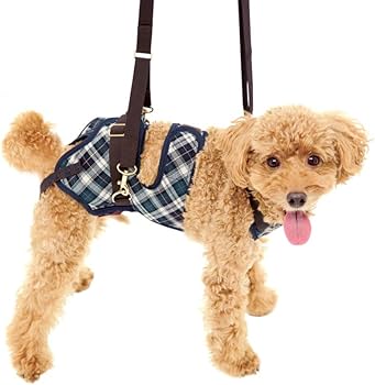 【新品】LaLaWalk 小型犬 ダックス 緑 チェック 歩行補助 ハーネス Amazon | With(ウィズ) 歩行補助ハーネス LaLaWalk 小型犬・ダックス用