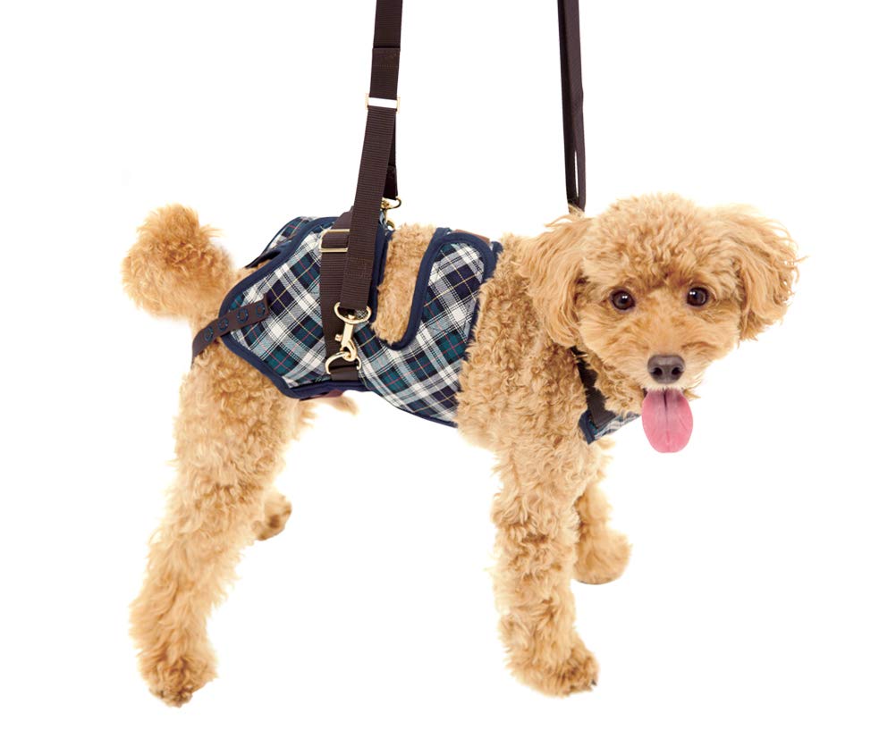 Amazon | 歩行補助ハーネスLaLaWalk 小型犬ダックス兼用 緑チェック