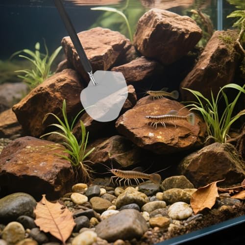 Filet extensible pour aquarium en acier inoxydable durable avec maille douce - 6
