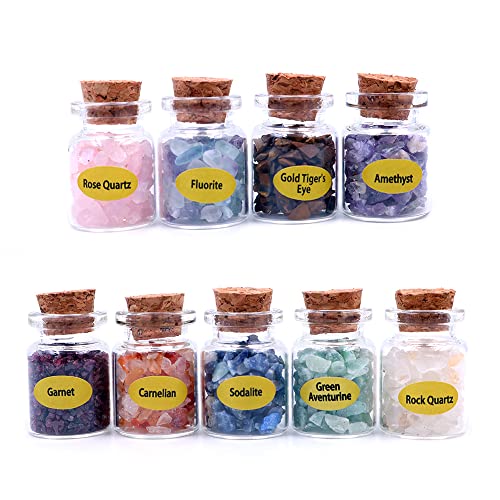 WANGCL 9Pcs Mini Crystals Stone Chip Bottles Healing Crystal Tumbled Gemstone Wishing Bottles Stones Set for Balancing Meditation Home Decoration