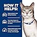 Hill's Prescription Diet k/d Kidney Care Stew Variety Pack Canned Cat Food, 2.9 oz., Count of 24