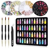 Nail Art Decorations Kit with 48 Colors Chunky Sequins & Fine Glitter Powder Mix, Glitter Sequins Na