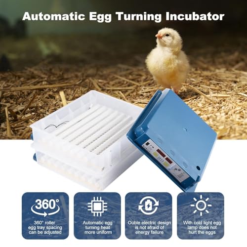 Automatic Egg Hatcher | Intelligent Humidity Control Egg Incubator | Precise Temperature Control Poultry Hatcher Machine for Quail, Pigeon, Chicken, and Duck Eggs